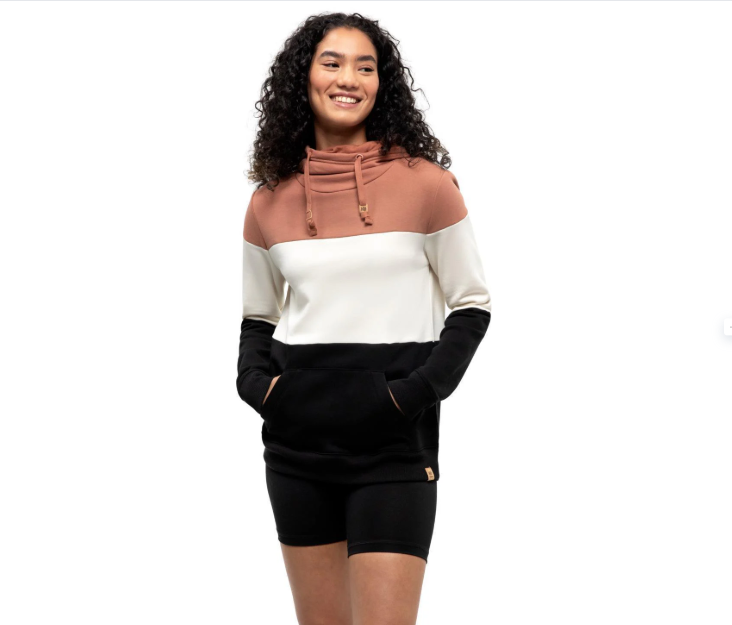 Tentree Treefleece Blocked Banshee Hoodie