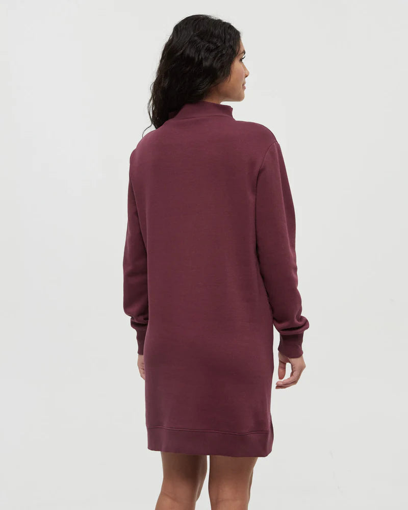 Tentree Colter Dress