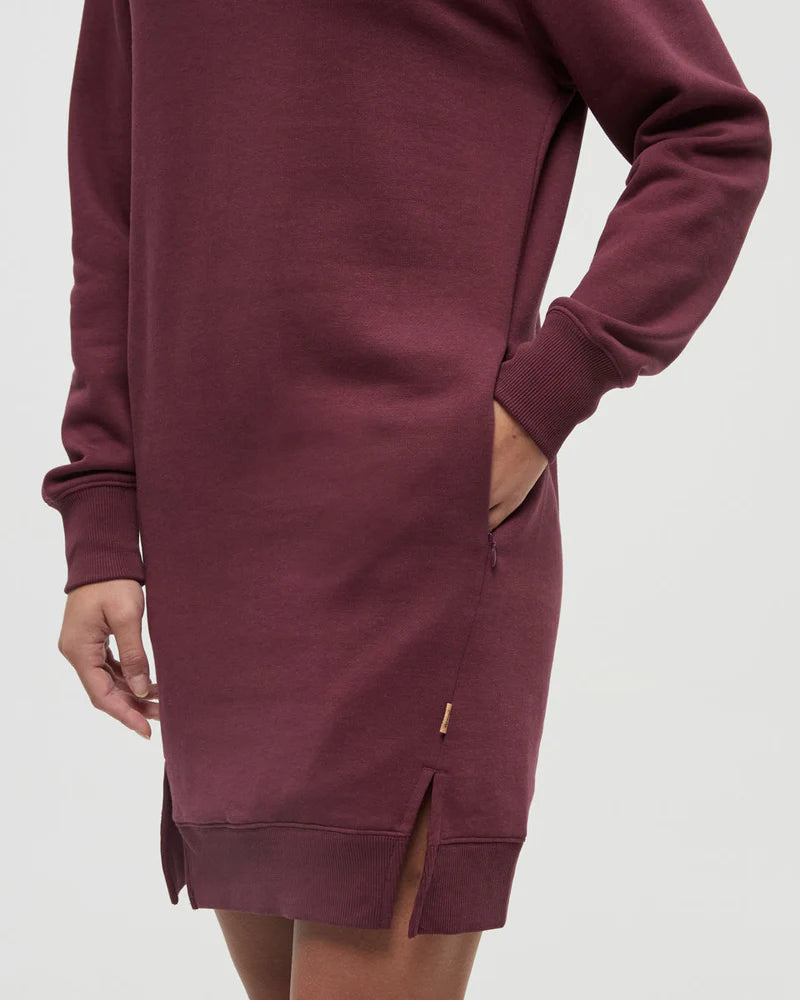 Tentree Colter Dress