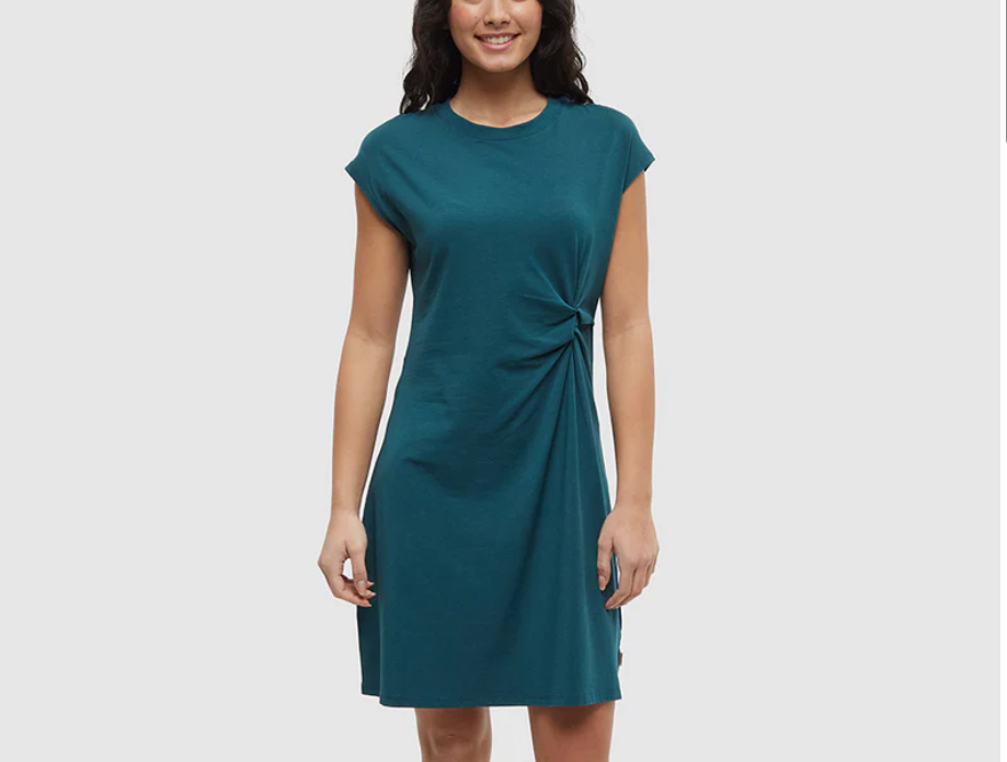 Tentree Linden Dress