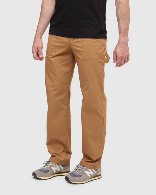 Tentree Ridgway Pants