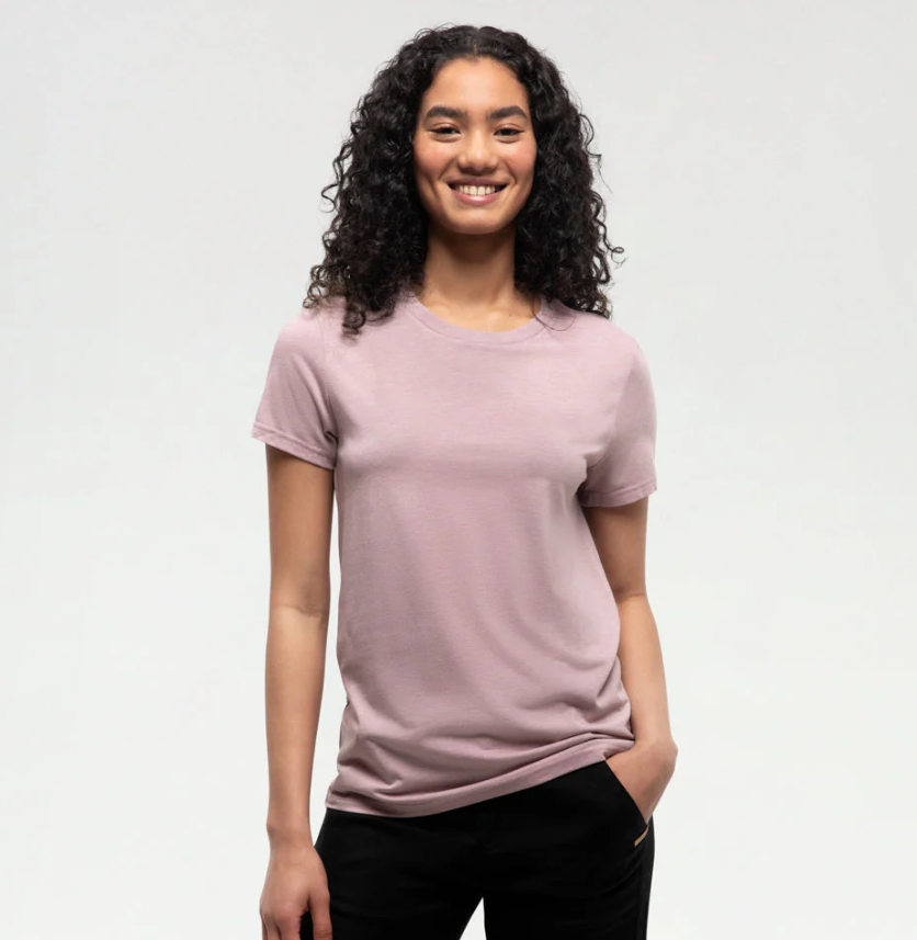 Tentree Winslow T Shirt