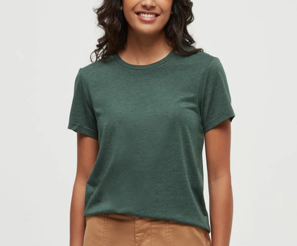 Tentree Winslow T Shirt