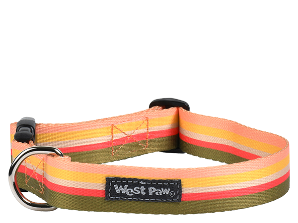West Paw Outings Dog Collar