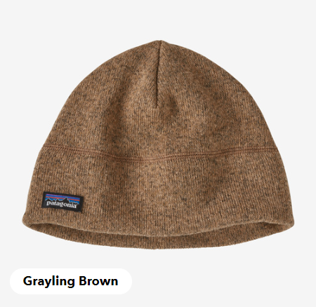 Patagonia Beanie / Toque