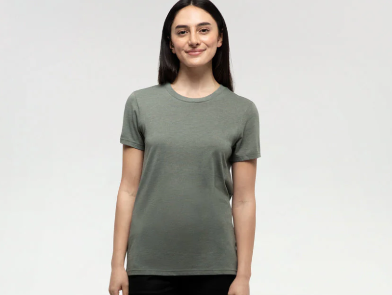 Tentree Winslow T Shirt