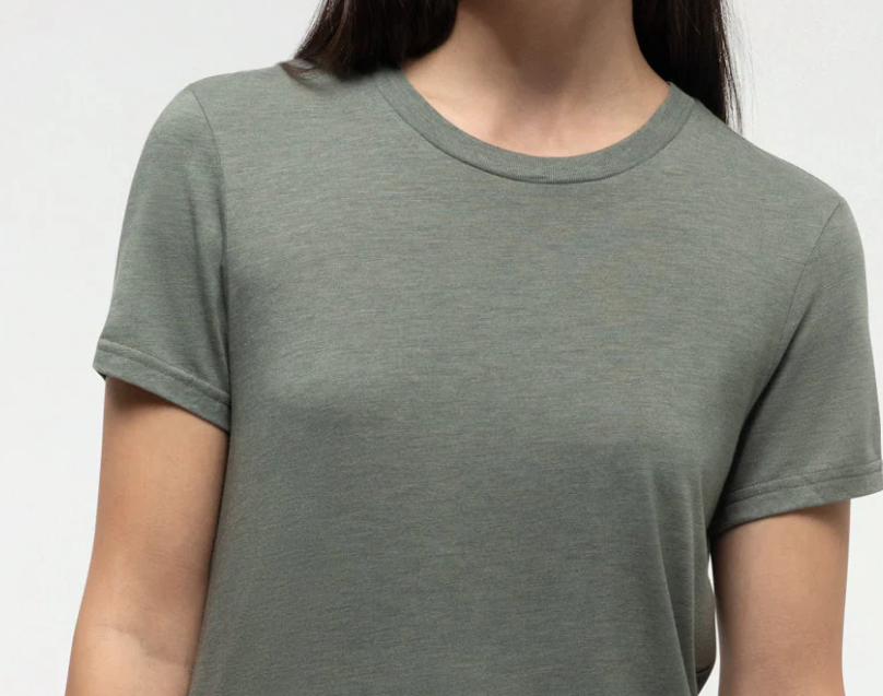 Tentree Winslow T Shirt