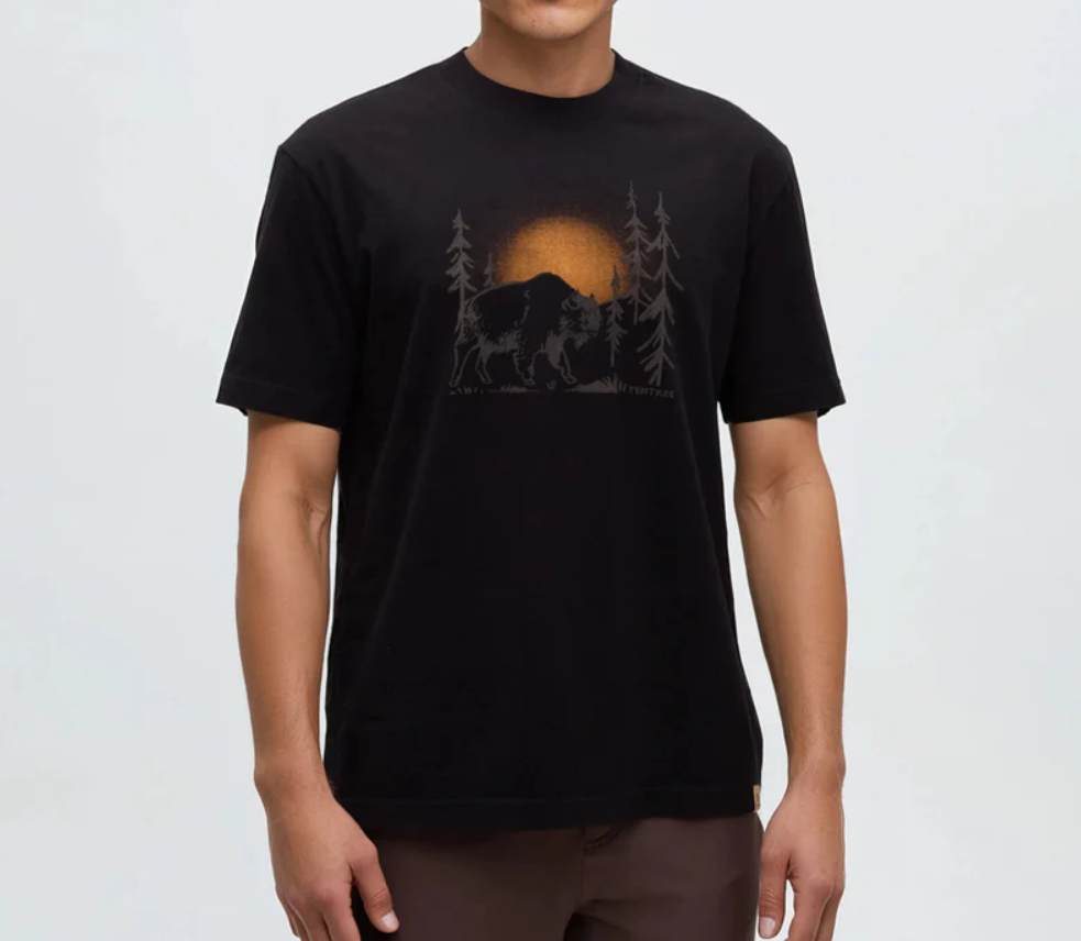 Tentree Regenerative Boreal Bison T Shirt
