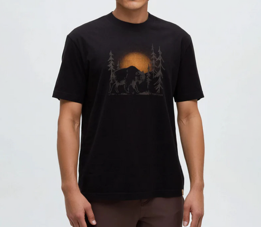 Tentree Regenerative Boreal Bison T Shirt