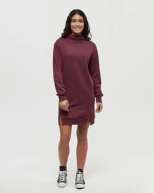 Tentree Colter Dress