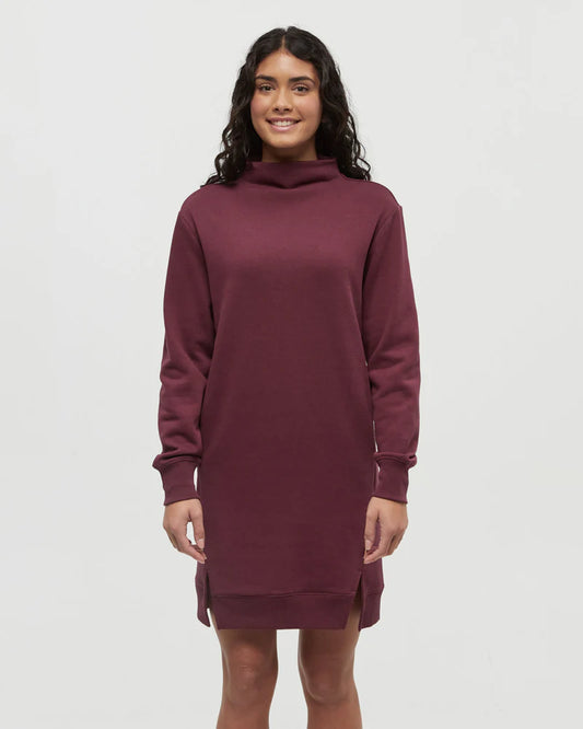 Tentree Colter Dress