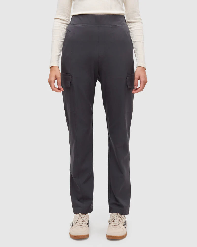 Tentree Cowen Pant