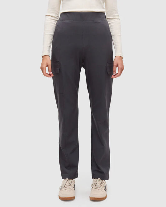 Tentree Cowen Pant