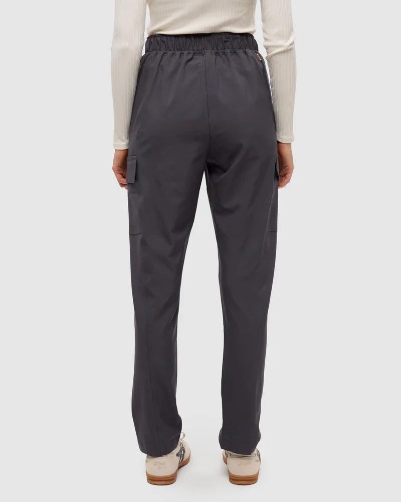 Tentree Cowen Pant