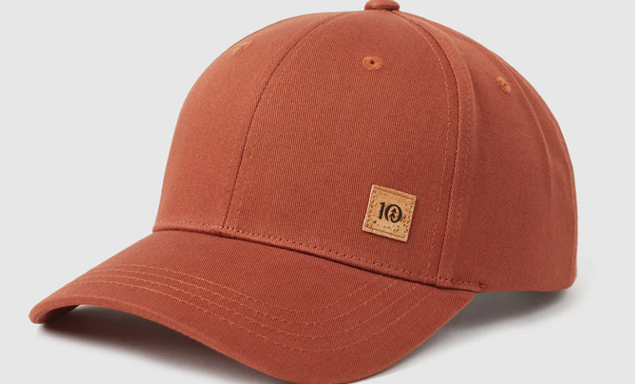 Tentree Juniper Cork Patch Elevation Hat