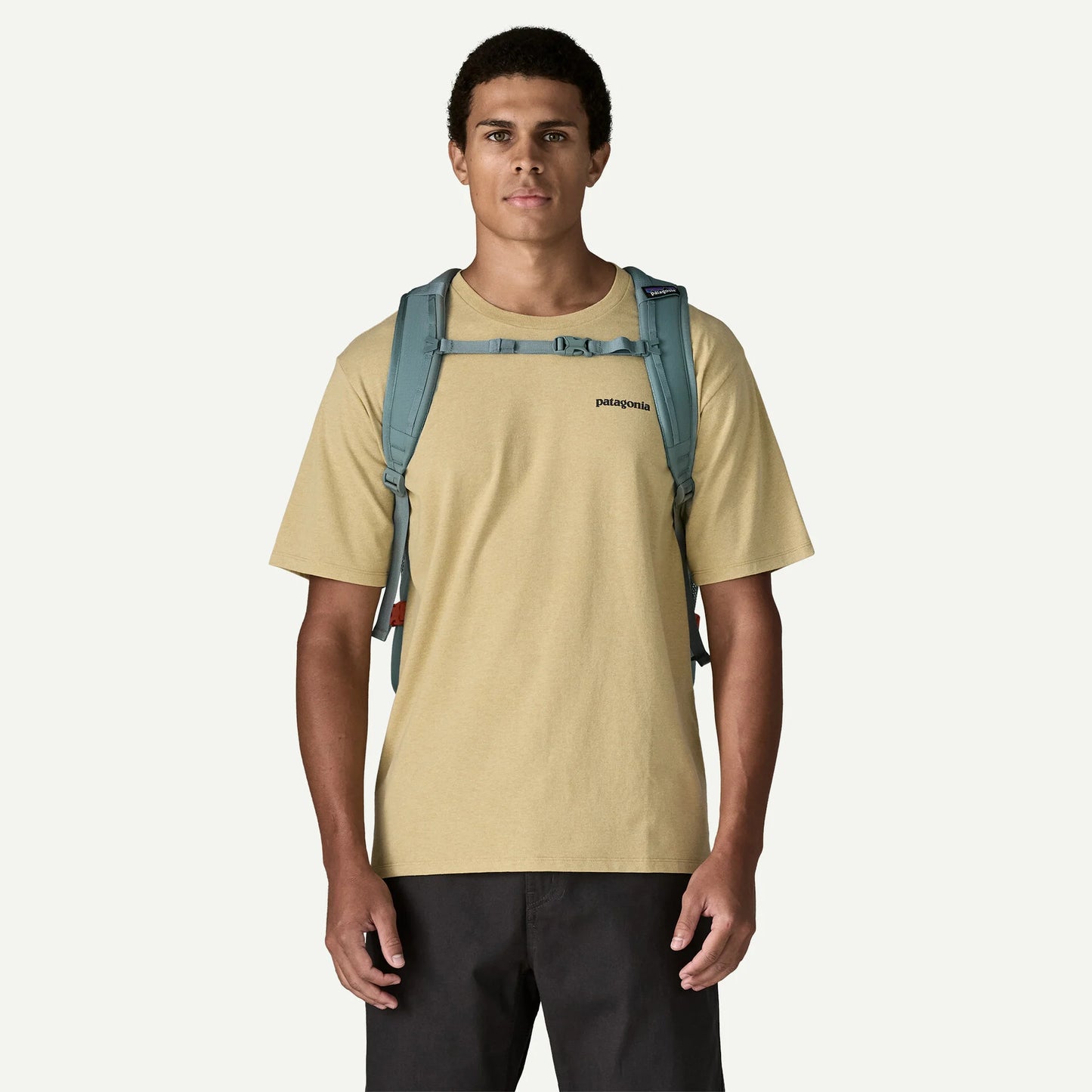 Patagonia Refugio Daypack 30L
