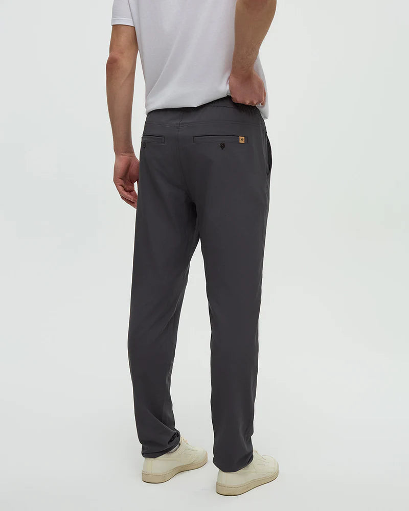 Tentree Simcoe Pant