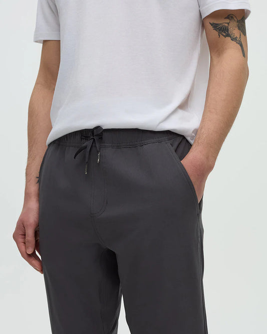 Tentree Simcoe Pant