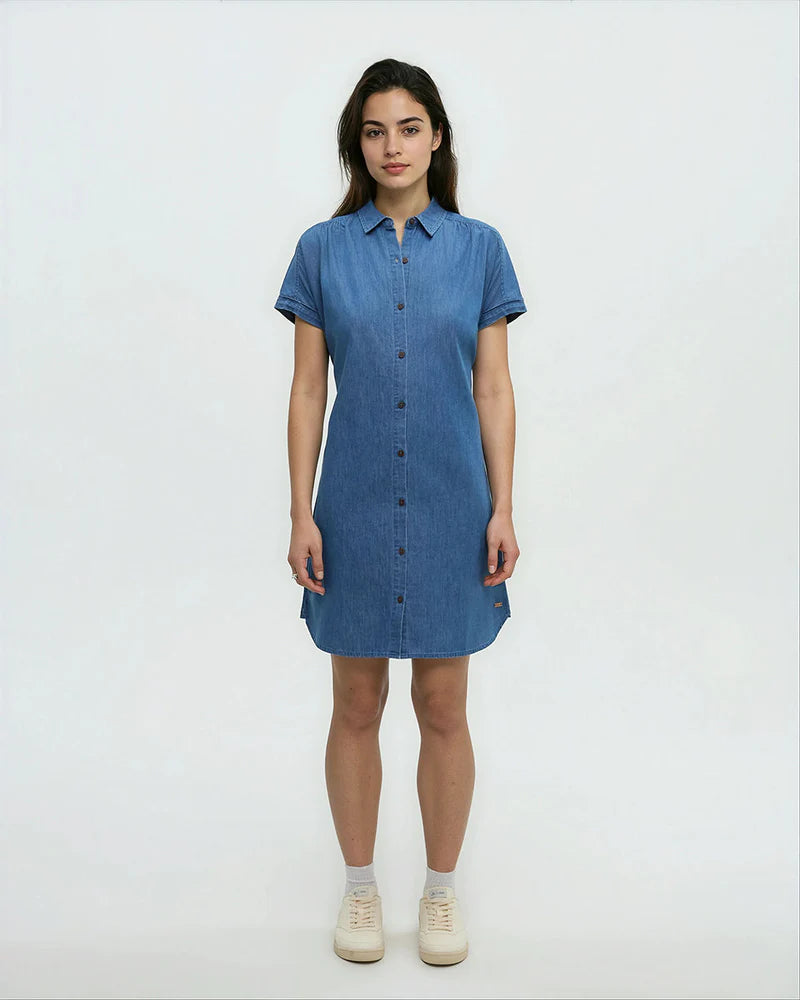 Tentree Tern Dress