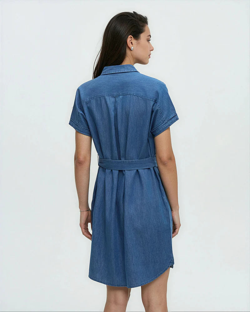 Tentree Tern Dress