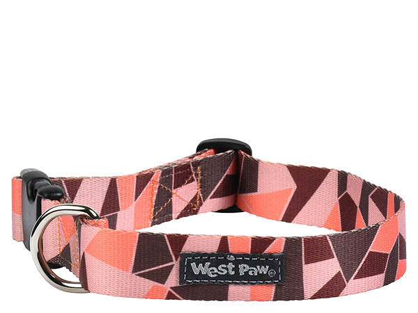West Paw Outings Dog Collar