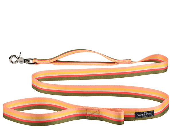 West Paw Outings Dog Leash